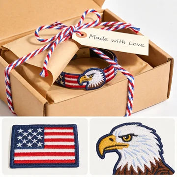 American Eagle Patriotic Embroidery Hoop Art